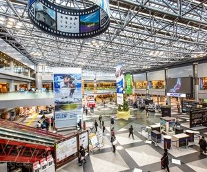 قیچی گم شده برنامه صدها پرواز را به هم ریخت!

