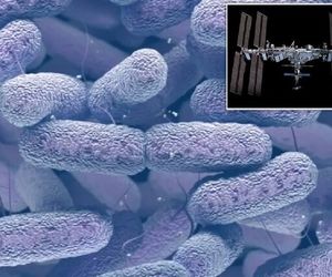 ناسا یک باکتری جهش‌یافته و خطرناک را در فضا کشف کرد