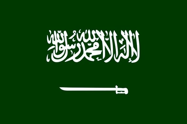 عربستان تمامی پروازها را تا اطلاع ثانوی به حالت تعلیق درآورد
