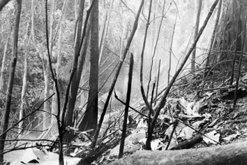 معمای حل نشده سقوط هواپیمای ایرفرانس در کوه‌های گوادلوپ + تصاویر