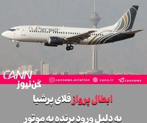 ورود پرنده به موتور هواپیمای 