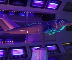 ایرباس از پرندگان تقلید می‌کند 