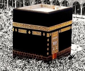 ورود نزدیک به ۸۰ درصد زائران ایرانی به سرزمین وحی