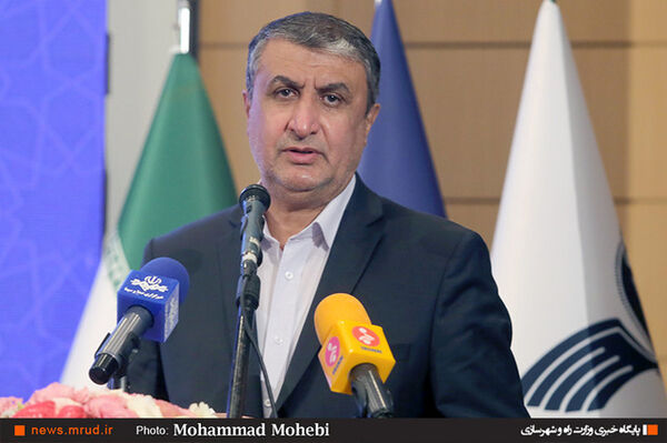 اسلامی: گزارش نهایی سقوط هواپیمای اوکراینی به‌زودی منتشر می‌شود