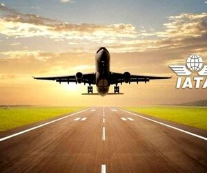 یاتا از جهش سود ایرلاین‌ها
 در سال آینده خبر داد