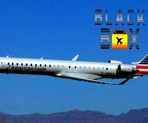  آسیب‌دیدگی به گردن یکی از مهمانداران هواپیمای CRJ-900 امریکن ایرلاینز  
