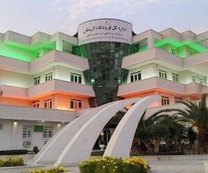 کیف حاوی طلا و وجه نقد به ارزش ۵ میلیارد ریال در فرودگاه لارستان به صاحبش بازگردانده شد