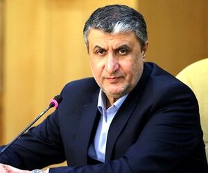  به هیچ وجه افزایش قیمت بلیت هواپیما را نمی‌پذیریم
