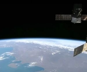 ژاپنی‌ها جنین موش را در فضا پرورش دادند!