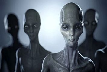 ایلان ماسک در جستجوی یوفوها!