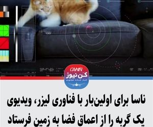 ناسا برای اولین‌بار با فناوری لیزر، ویدیوی یک گربه را از اعماق فضا به زمین فرستاد+ویدیو