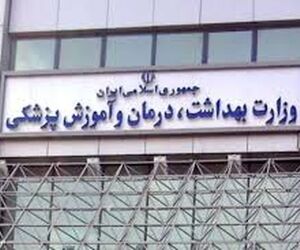  وزارت بهداشت به طور جدی درخواست بستن مرزهای هوایی با چین را داشت، اما در دولت جدی گرفته نشد.
