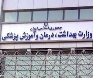  وزارت بهداشت به طور جدی درخواست بستن مرزهای هوایی با چین را داشت، اما در دولت جدی گرفته نشد.
