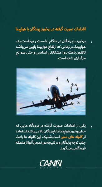 اقدامات صورت گرفته در برخورد پرندگان با هواپیما