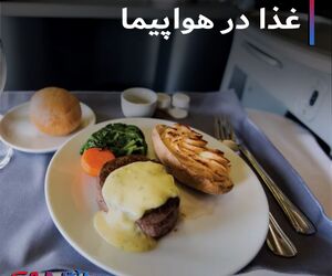 غذا در هواپیما
