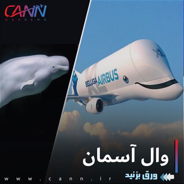 وال آسمان +تصاویر