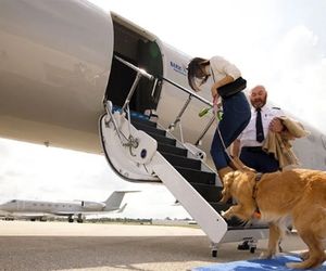 بارک ایر، خط هوایی مخصوص حمل و نقل سگ‌ها