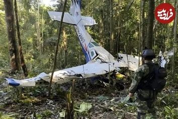 ۴ کودکی که از سقوط هواپیما
 جان سالم به در بردند