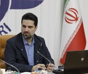 تکذیب ورود هواپیما از عربستان