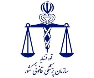 خانواده های جان باختگان سانحه سقوط هواپیمای اوکراینی برای اخذ نمونه DNA به پزشکی قانونی مراجعه کنند