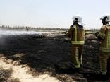 آتش سوزی علفزار اراضی شمالی شهر فرودگاهی امام خمینی(ره) مهار شد