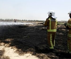 آتش سوزی علفزار اراضی شمالی شهر فرودگاهی امام خمینی(ره) مهار شد