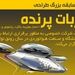 مسابقه بزرگ طراحی ربات پرنده 