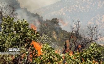 انجام ۱۲ سورتی پرواز برای اطفای حریق الیت