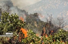 انجام ۱۲ سورتی پرواز برای اطفای حریق الیت