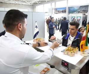 فعالیت شبانه‌روزی دفاتر فروش «هما» در فرودگاه‌های مهرآباد و امام
