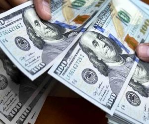 کشف دلار‌های قاچاق توسط پلیس فرودگاه امام خمینی (ره)