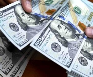 کشف دلار‌های قاچاق توسط پلیس فرودگاه امام خمینی (ره)