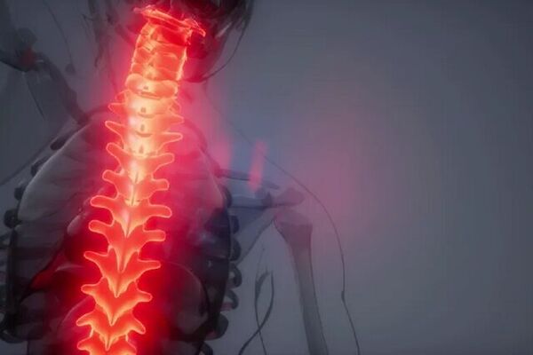 آغاز یک تجربه برای مقابله با تحلیل عضله فضانوردان