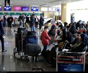 گلایه سازمان حج از همکاری نکردن برخی ایرلاین‌ها در پروازهای عتبات