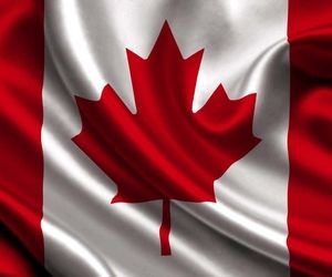 درخواست کانادا از ظریف: بررسی جعبه سیاه هواپیمای اوکراین در خارج از ایران