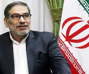 جزئیات تازه از سانحه هواپیمای اوکراینی از زبان دبیر اسبق شورای عالی امنیت ملی