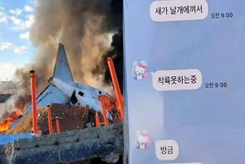 پیامکی پیش از سقوط +تصویر