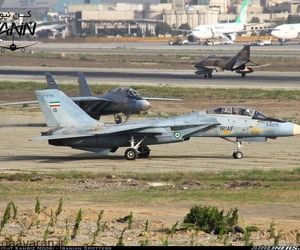 برترین شکار هوایی تاریخ چگونه انجام شد؟