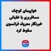هواپیمای کوچک مسافربری با خلبانی خبرنگار معروف فرانسوی سقوط کرد