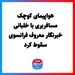 هواپیمای کوچک مسافربری با خلبانی خبرنگار معروف فرانسوی سقوط کرد