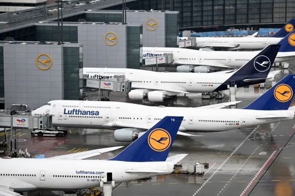 حمله با چنگال در هواپیما؛ پرواز بینقارهای ناتمام ماند