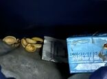 پیام مردمی 